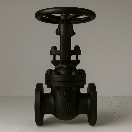 Gate Valve ANSI Sürgülü Vana Ansi