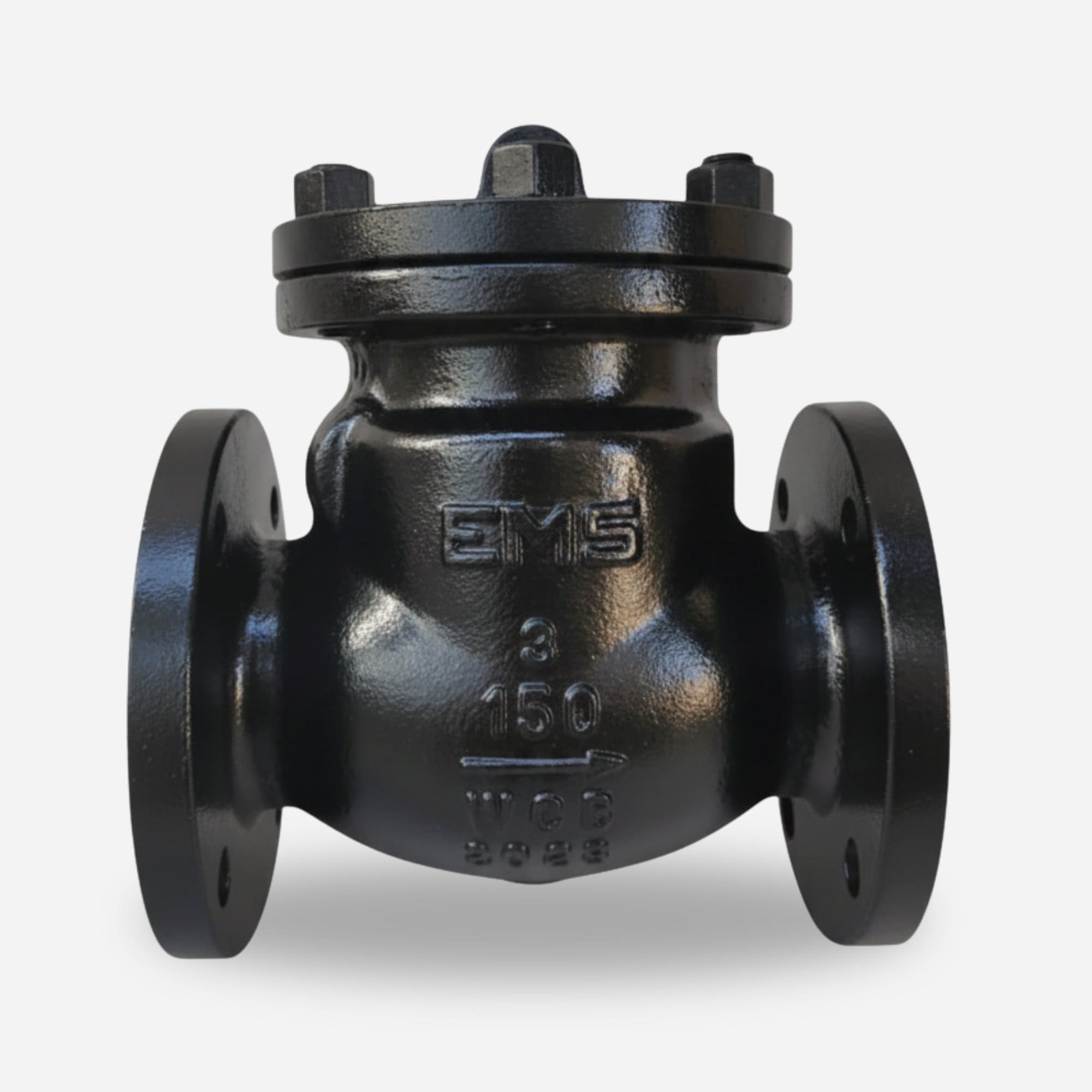 Swing Check Valve (DIN)