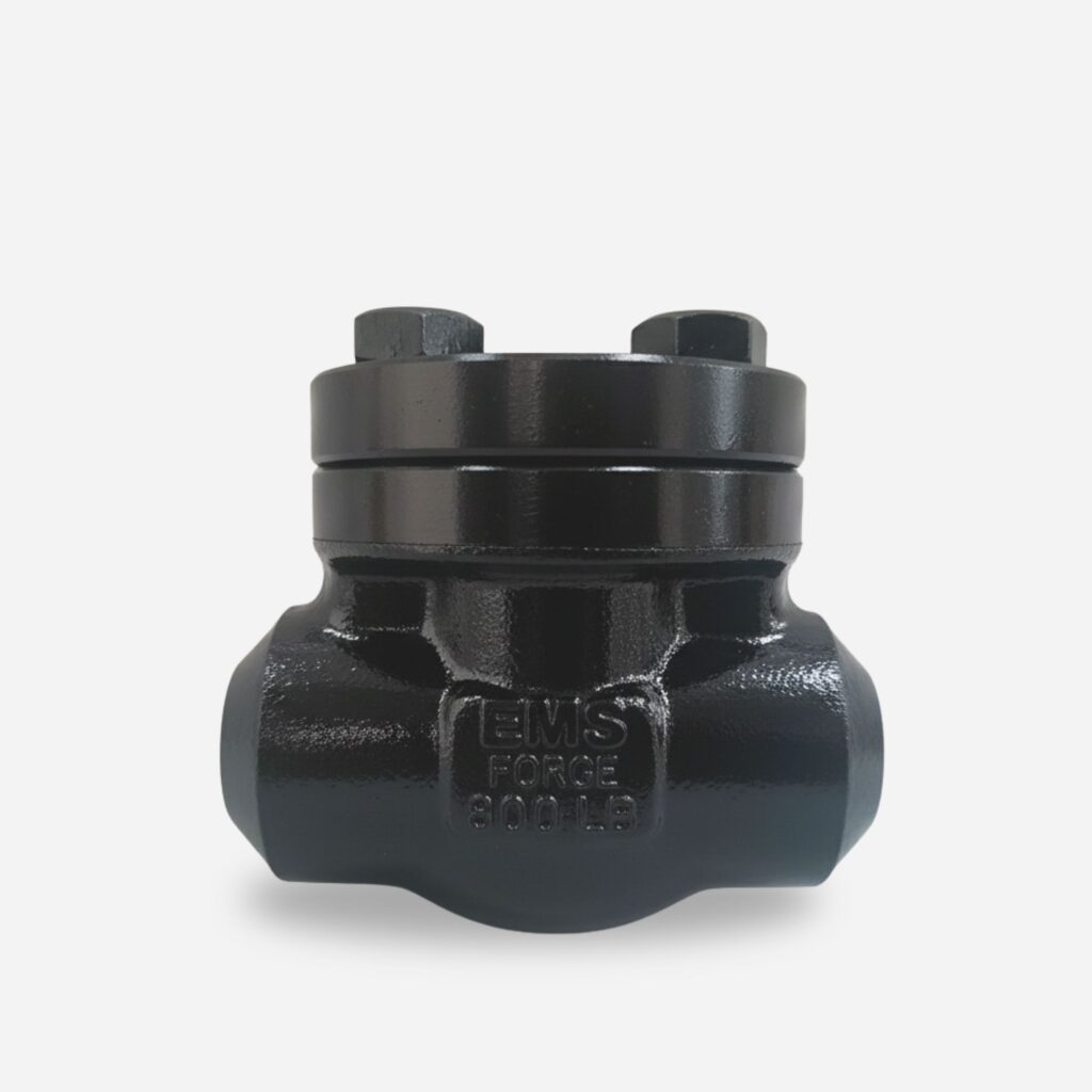 Forged Check Valves